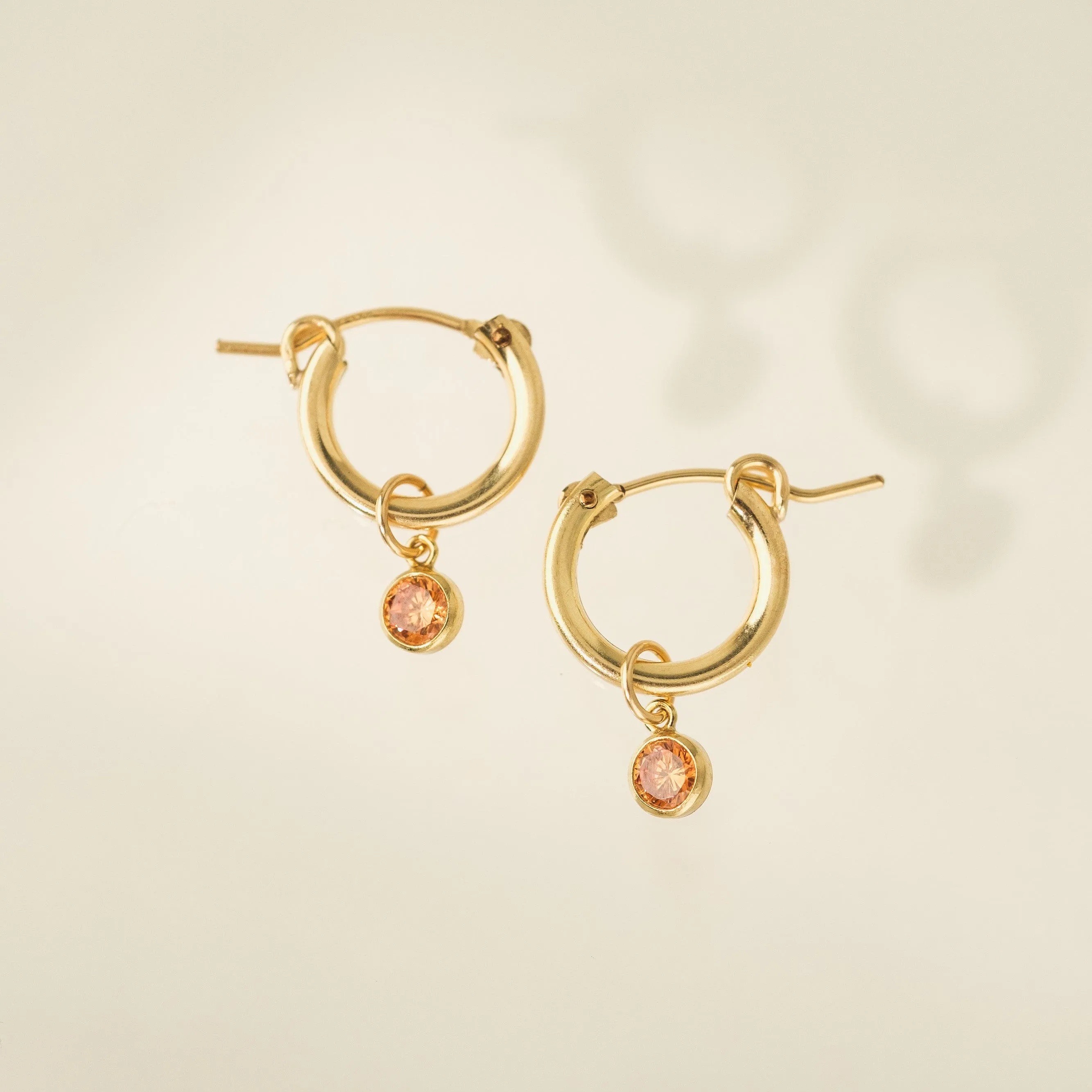 November Birthstone Gold-Filled Hoop Earrings