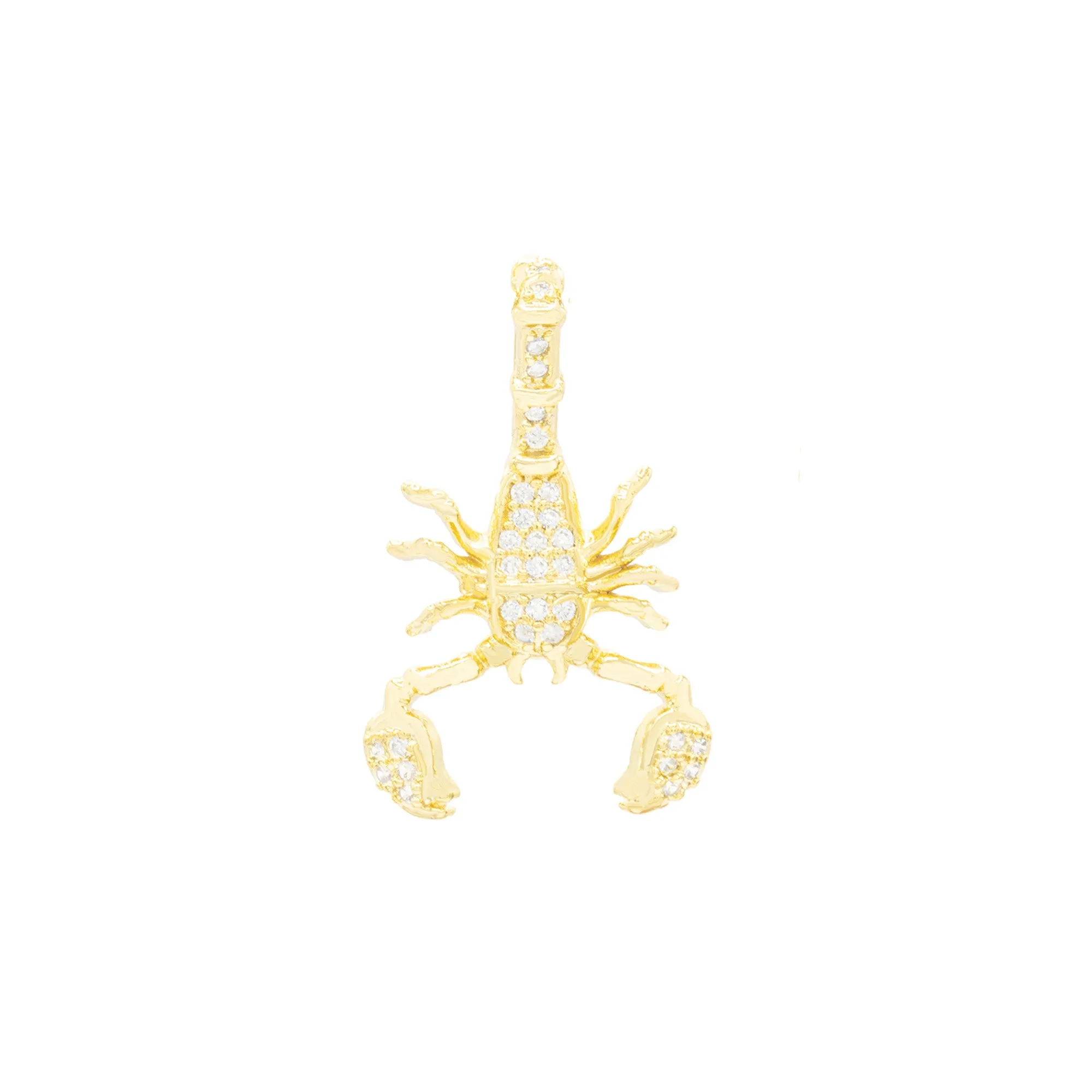 Scorpion CZ Pendant 14K Anklet Bracelet Gold Filled Cubic Zirconia Charm Rope Foot Set 10" WomenJewelry